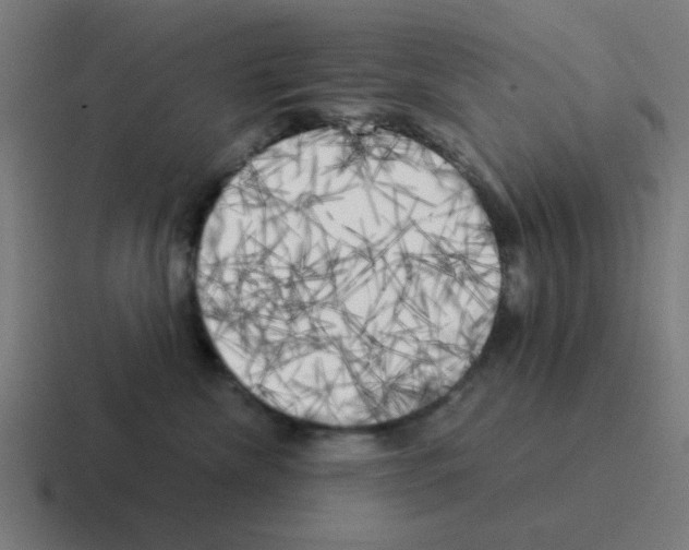 X0000116020476200912312156