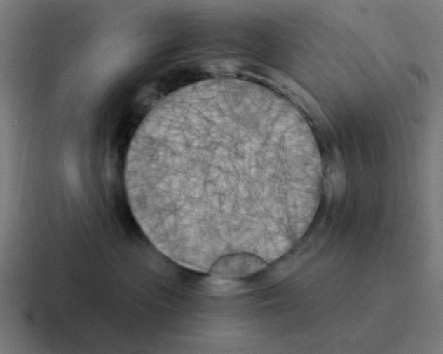 X0000116020477200912312156