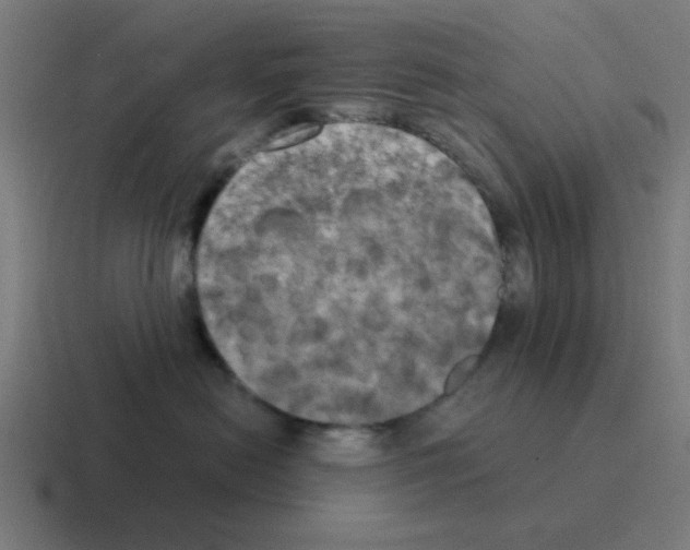 X0000116020478200912312156