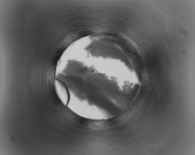 X0000116020479200912312156