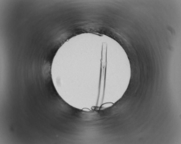 X0000116020480200912312156