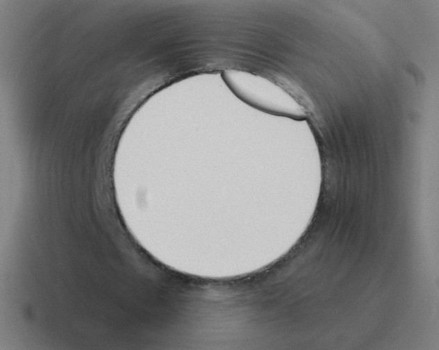 X0000116020481200912312156