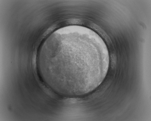 X0000116020482200912312156