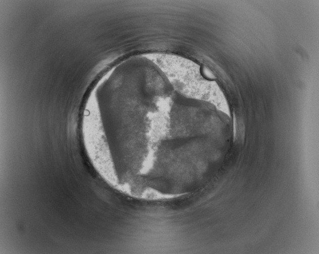 X0000116020483200912312156