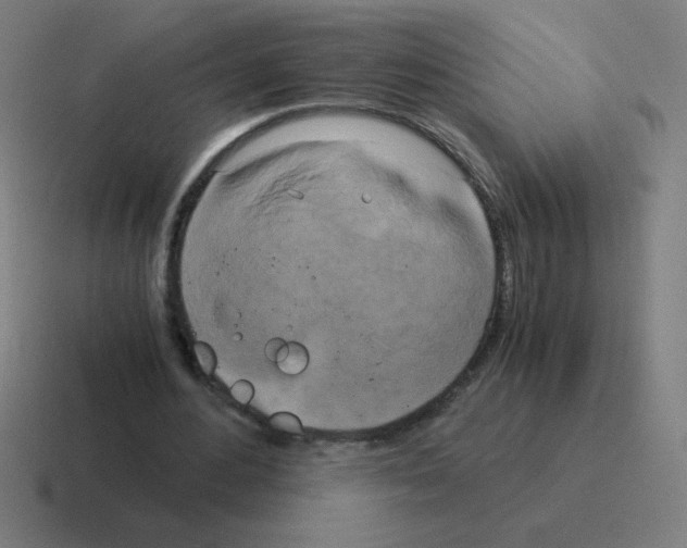 X0000116020484200912312156