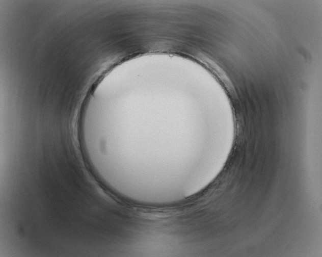 X0000116020485200912312156