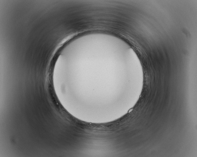 X0000116020488200912312156