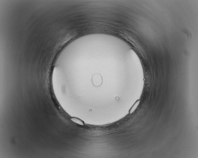 X0000116020489200912312156