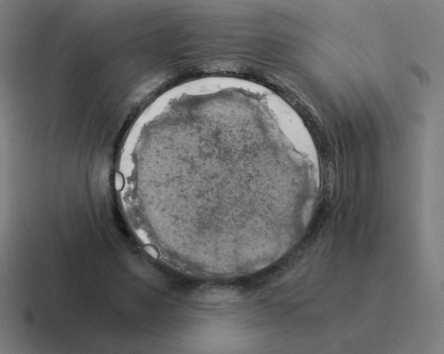 X0000116020491200912312156