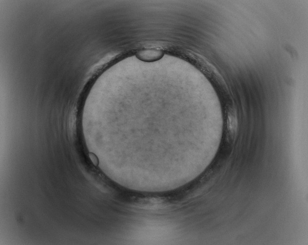 X0000116020492200912312156