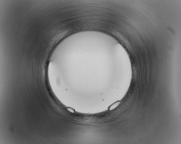 X0000116020493200912312156