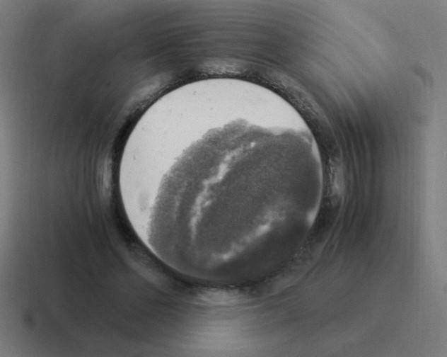 X0000116020494200912312156