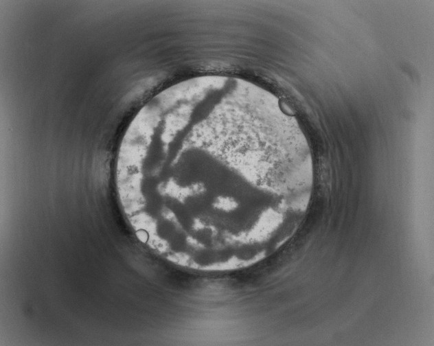 X0000116020495200912312156