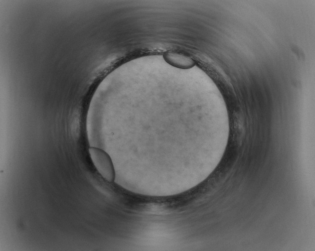 X0000116020496200912312156