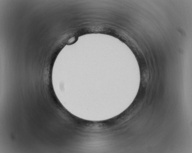 X0000116020497200912312155