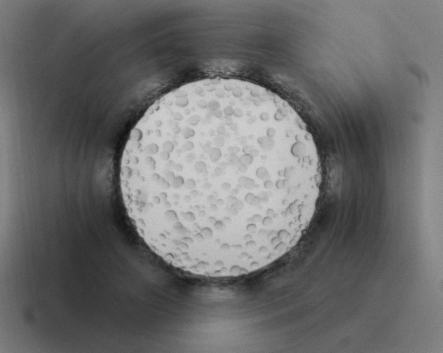 X0000116020498200912312155