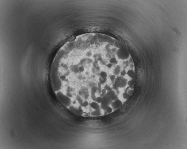 X0000116020499200912312155