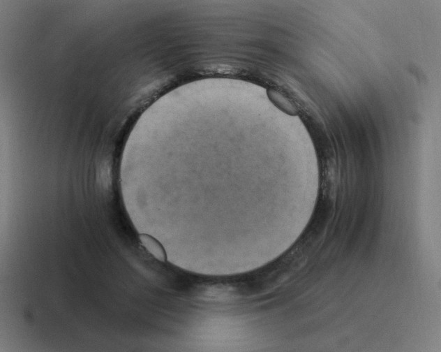 X0000116020500200912312155