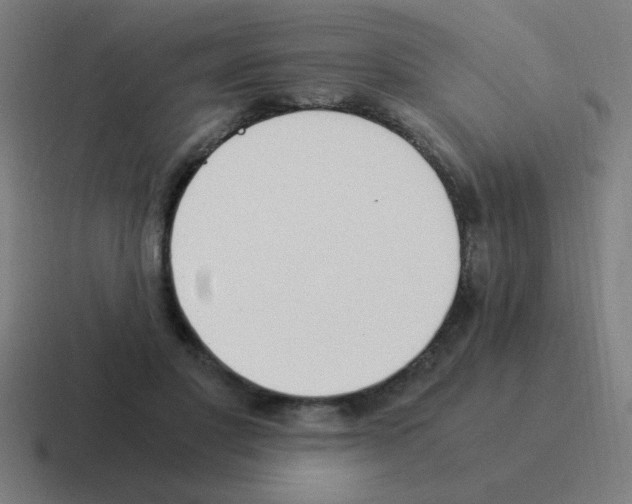 X0000116020501200912312155