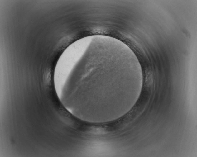 X0000116020502200912312155