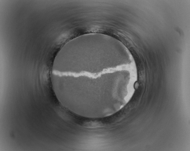 X0000116020503200912312155