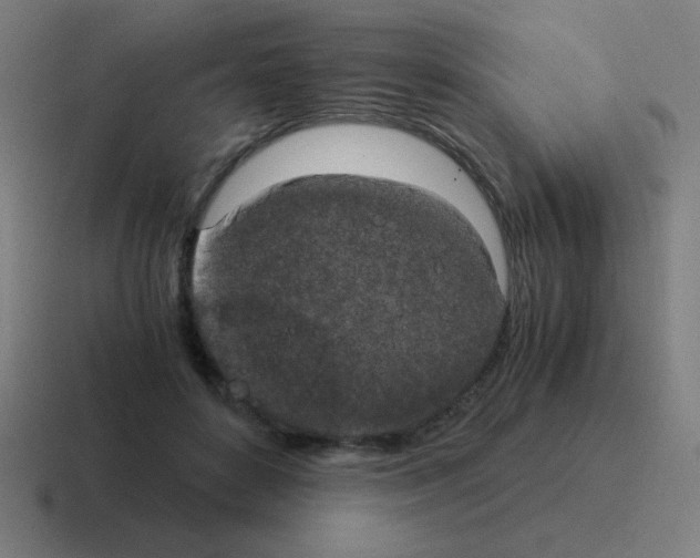 X0000116020504200912312155