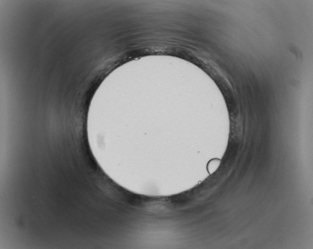 X0000116020505200912312155