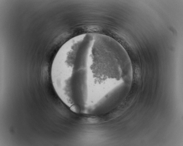 X0000116020506200912312155