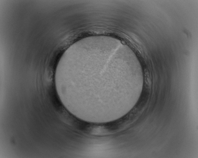 X0000116020507200912312155