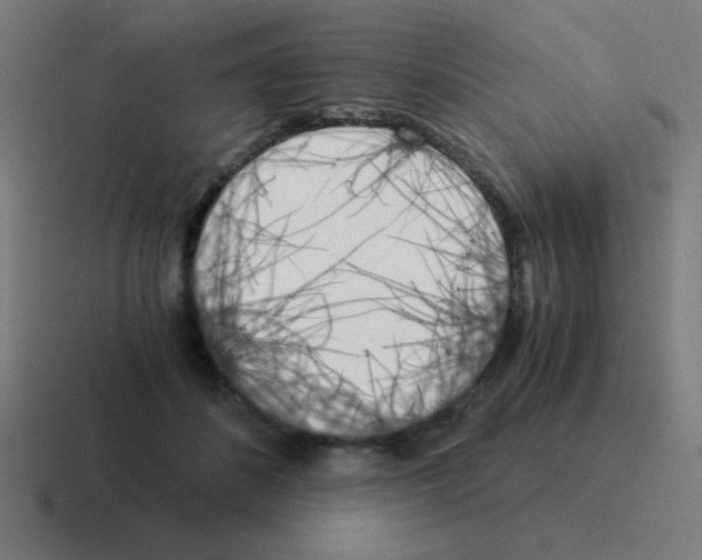 X0000116020508200912312155