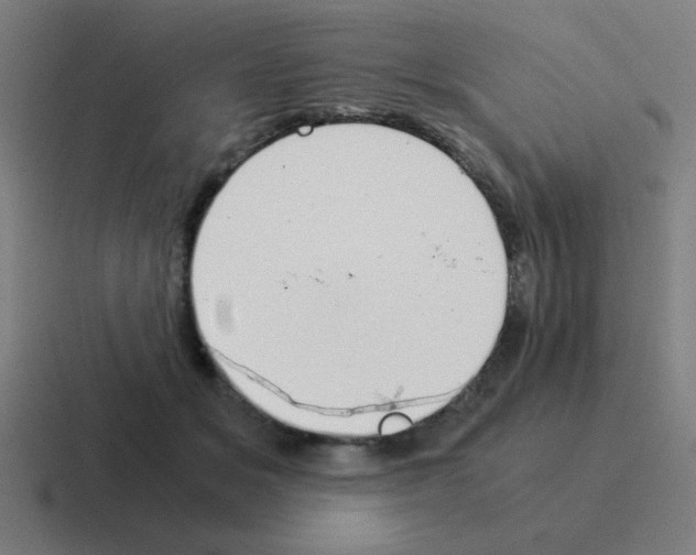 X0000116020509200912312155