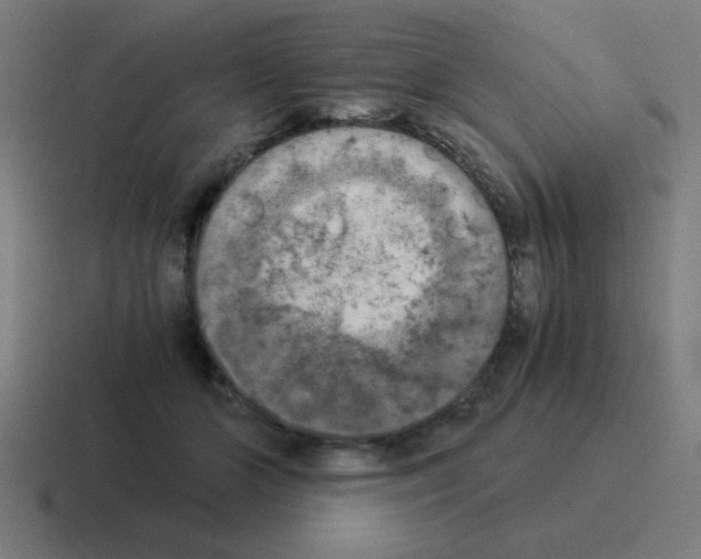 X0000116020510200912312155