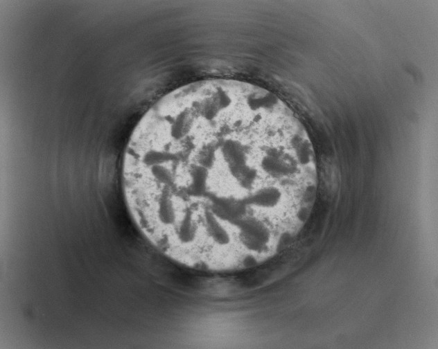 X0000116020511200912312155