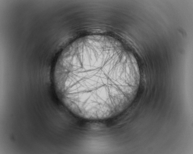 X0000116020512200912312155