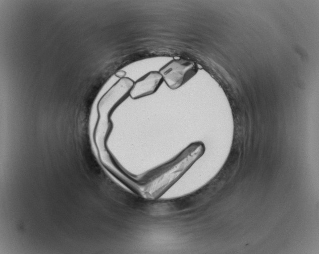 X0000116020513200912312155