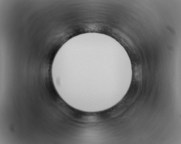 X0000116020514200912312155