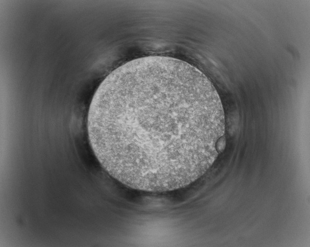 X0000116020515200912312155