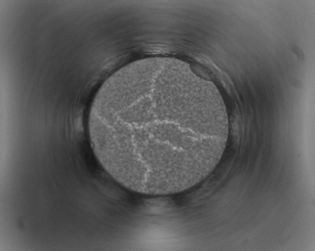 X0000116020516200912312155