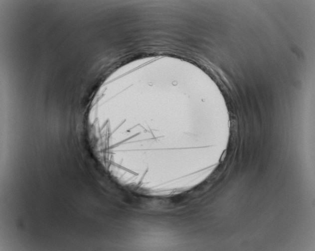 X0000116020517200912312155