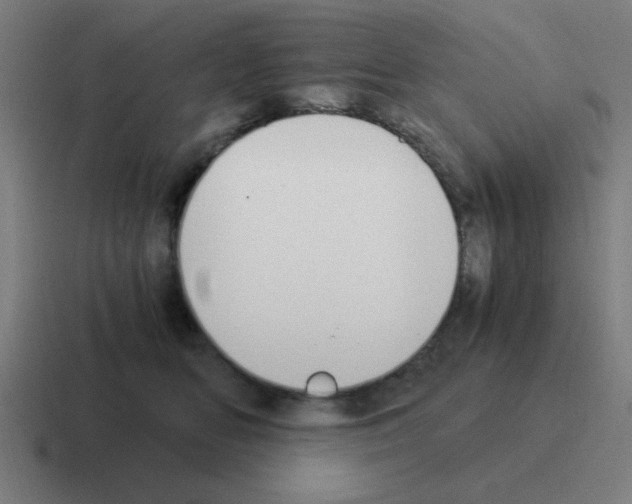 X0000116020518200912312155