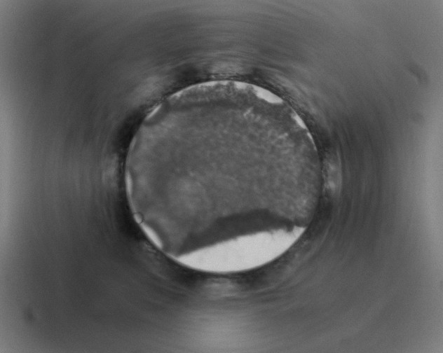 X0000116020519200912312155