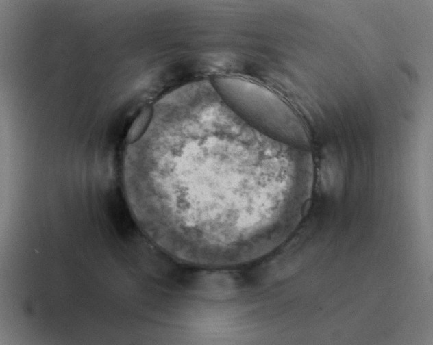 X0000116020520200912312155