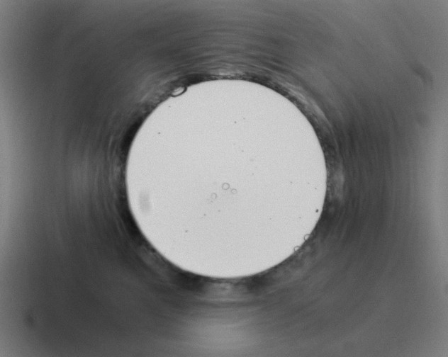 X0000116020521200912312155