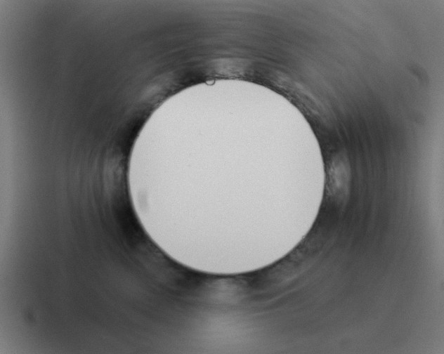 X0000116020522200912312155