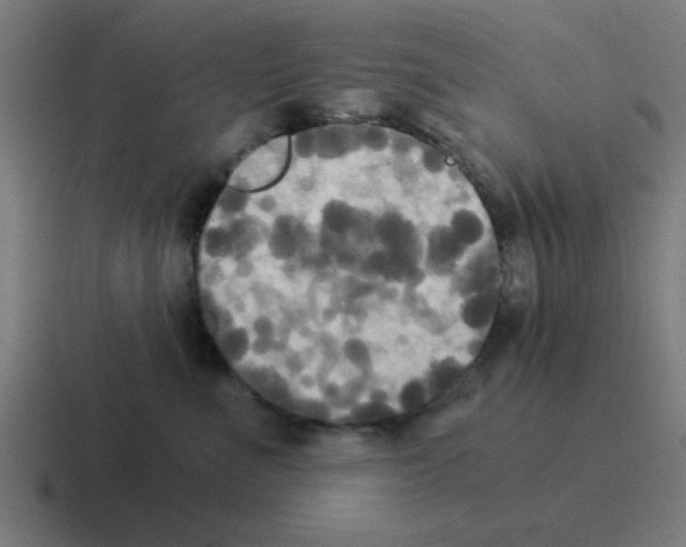 X0000116020523200912312155