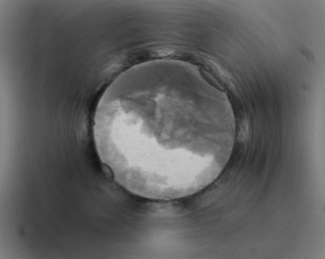 X0000116020524200912312155