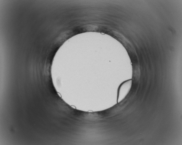 X0000116020525200912312155