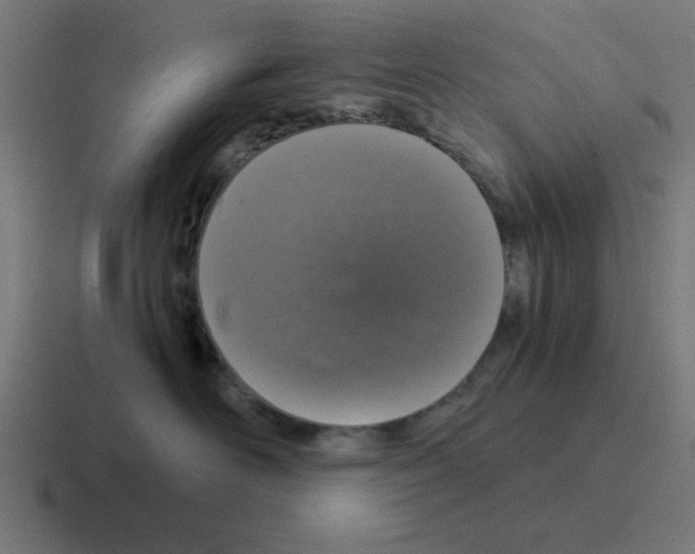 X0000116020526200912312155