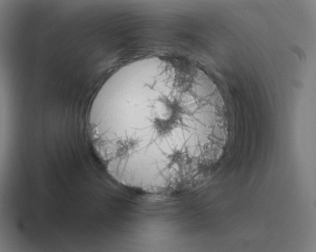 X0000116020528200912312155