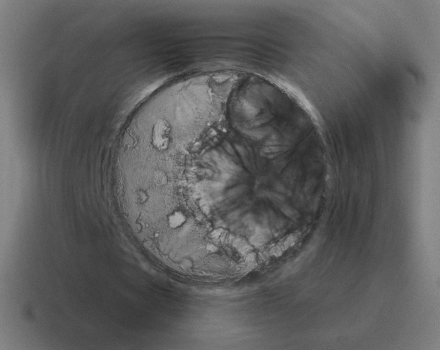 X0000116020529200912312155